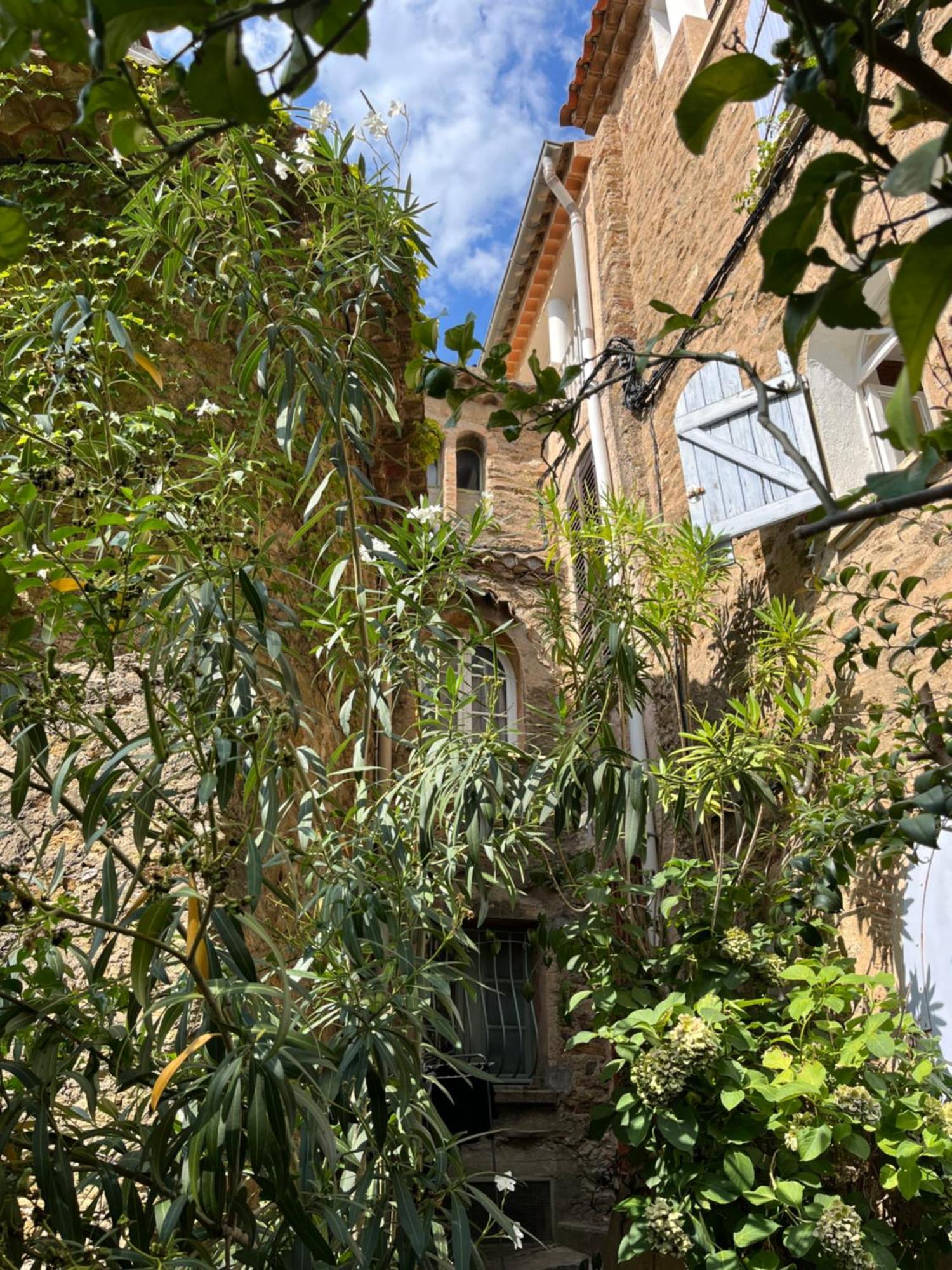 Holiday home La Recampado Bormes-les-Mimosas